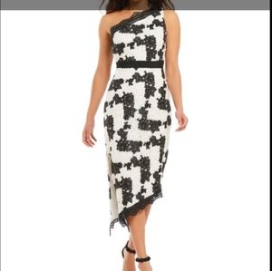 ❣️NEW❣️ Laundry by Shelli Segal Dress | Black and White